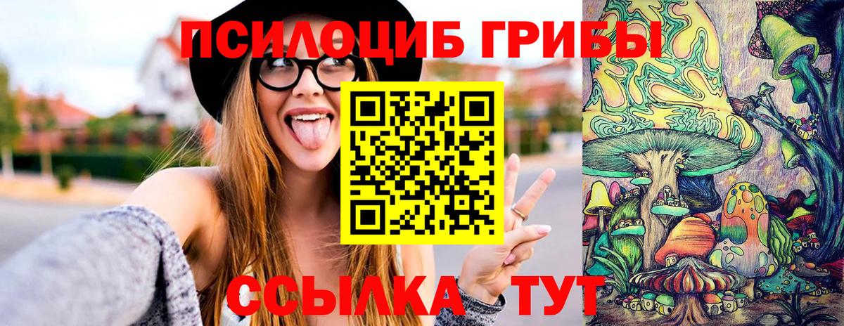 Галлюциногенные грибы прущие грибы  где купить   Ногинск  Вход с VPN 